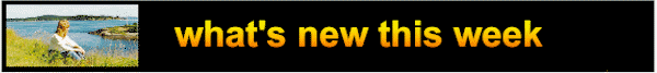 Welcome to the What's New page and archive
